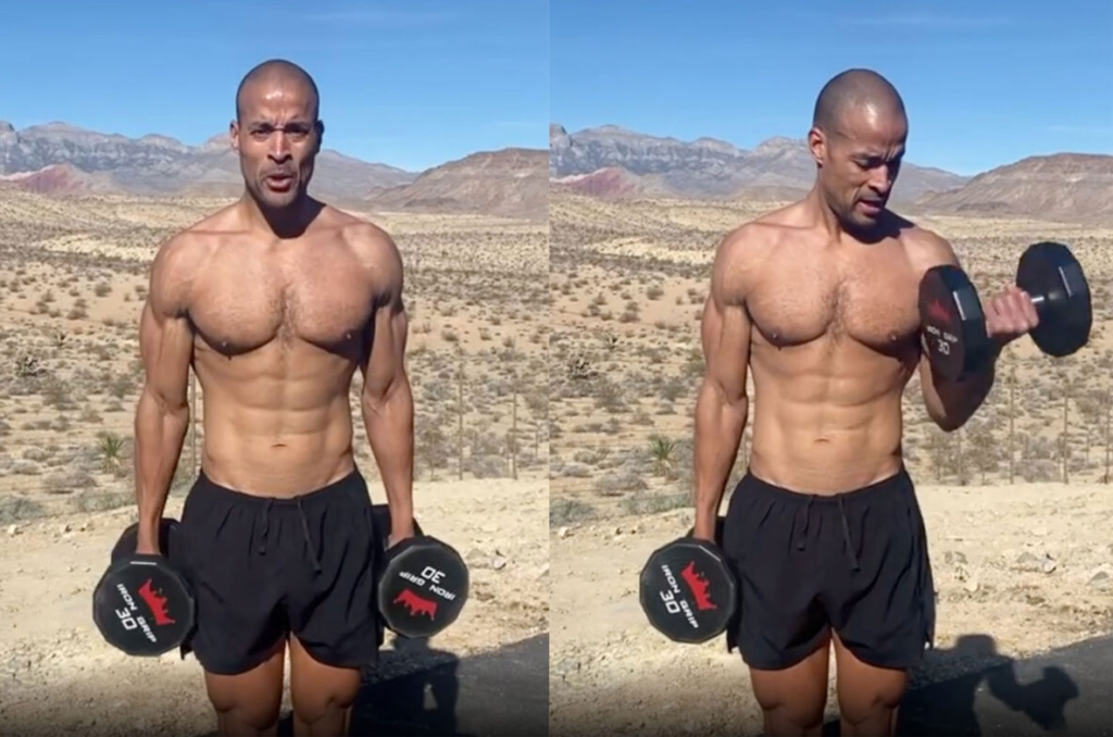 David Goggins quotes